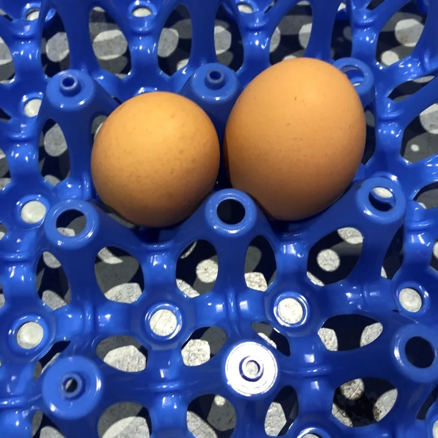 Blue 30-Egg Tray - 10 pack thumbnail 3