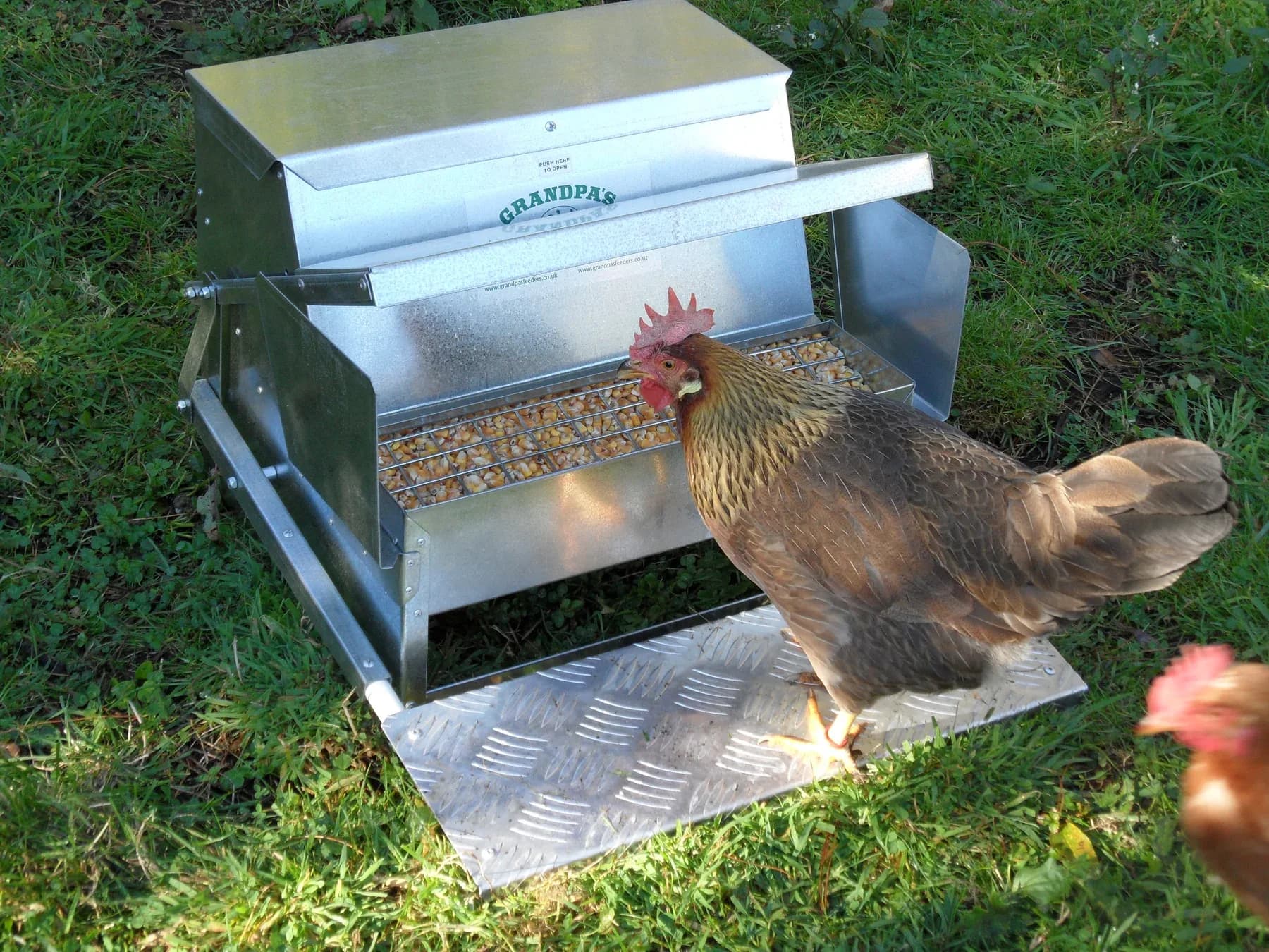 Grandpas Large Automatic Feeder thumbnail 2