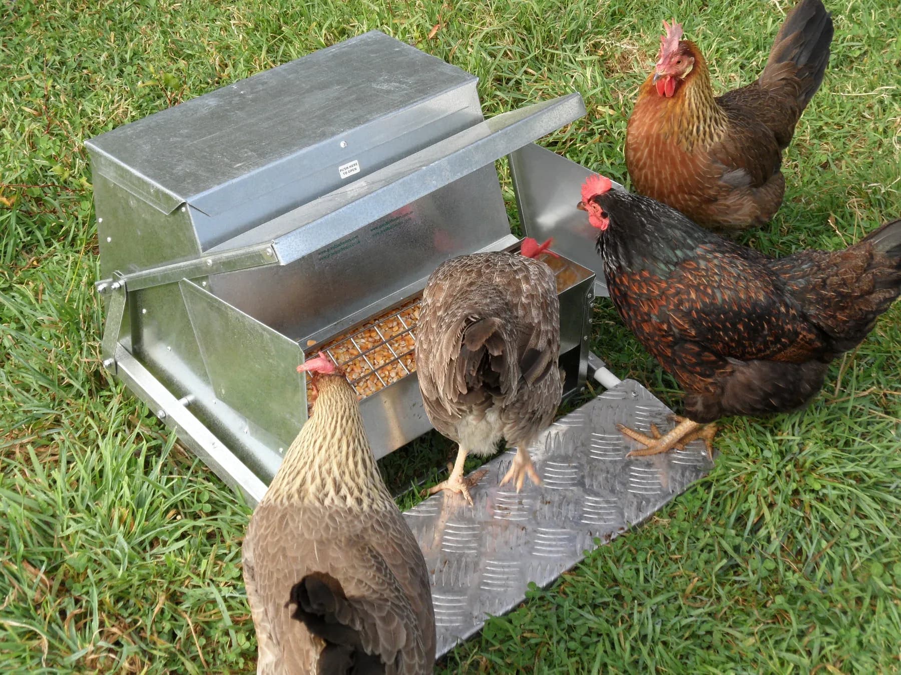 Grandpas Large Automatic Feeder thumbnail 3