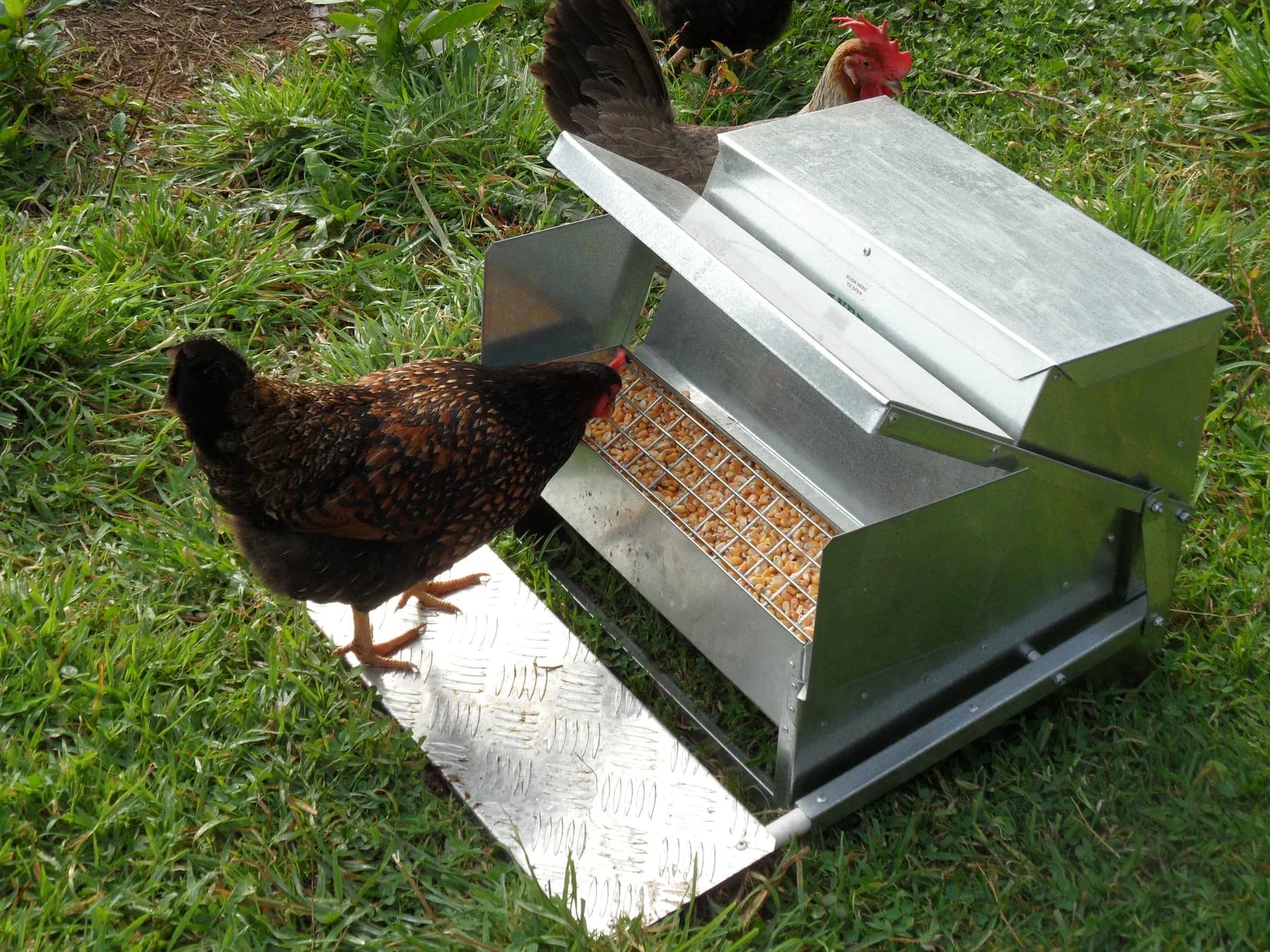 Grandpas Large Automatic Feeder thumbnail 4