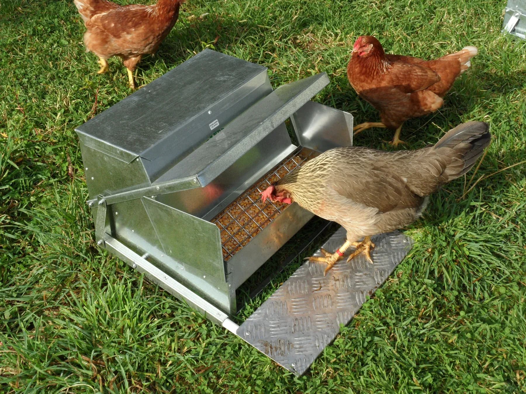 Grandpas Large Automatic Feeder thumbnail 5