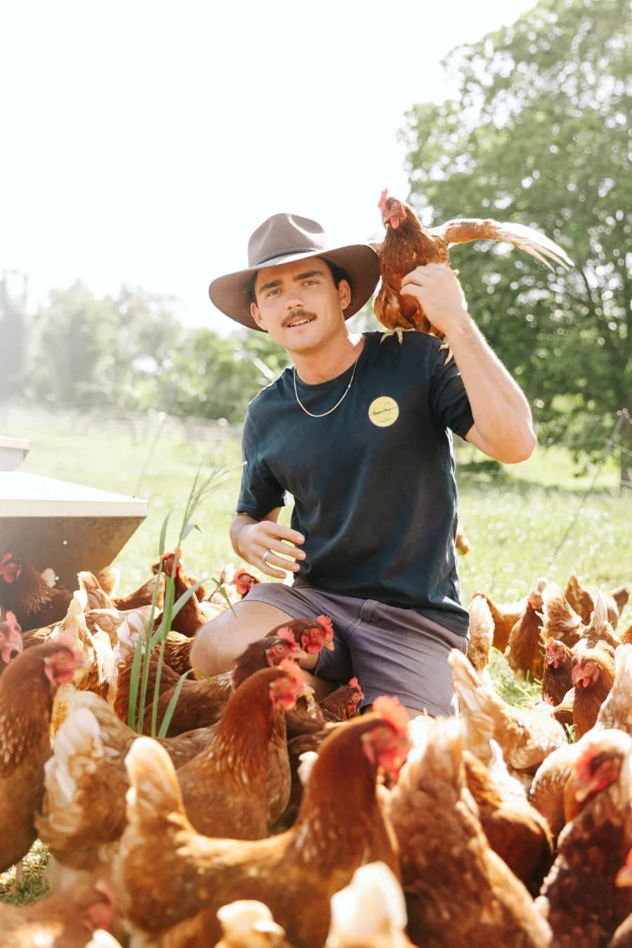 Oliver's Hens regenerative farm